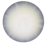 Ananda Deeksha SP - Evento Presencial